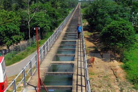 TPHCM: Nhà Bè và Hóc Môn được công nhận là huyện nông thôn mới