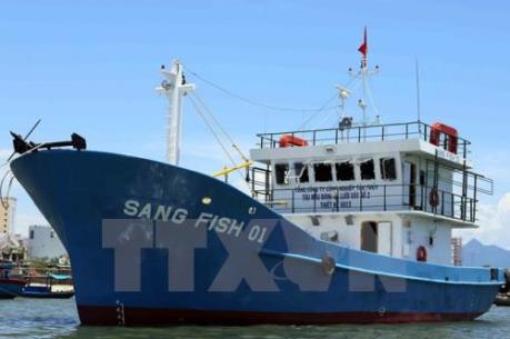  Tàu vỏ thép đóng mới “đắp chiếu nằm bờ”