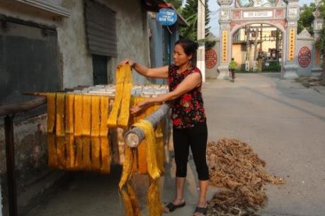 Có làng nghề ở Hà Nội vượt quy chuẩn môi trường đến 9.200 lần