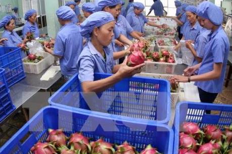 Doanh nghiệp Việt trước cơ hội từ TPP