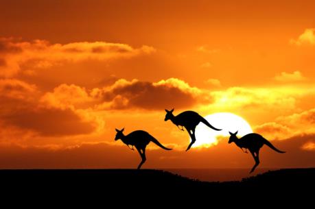 TPP đưa nông sản Australia tiến xa hơn