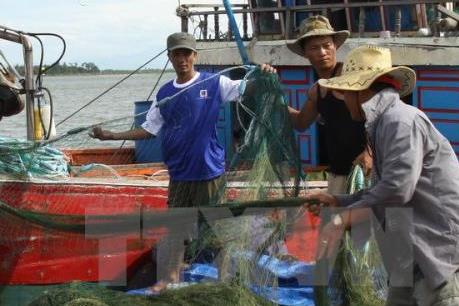 Ngư dân Bến Tre chưa "mặn mà"  đóng mới và nâng cấp tàu cá