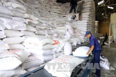 Hợp tác công-tư: Động lực để phát triển ngành lúa gạo