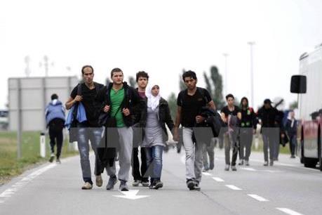 Vấn đề người di cư : EU muốn xóa bỏ "con đường Balkan"