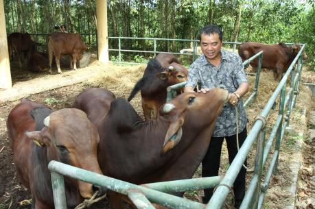 Khuyến nghị chính sách cho ngành chăn nuôi “hậu” TPP 