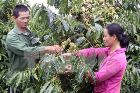 Thêm địa phương thụ hưởng chính sách kiện toàn chính quyền cơ sở vùng Tây Nguyên