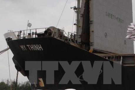 Cần tránh "đầu cơ" trong sản xuất và kinh doanh lúa gạo