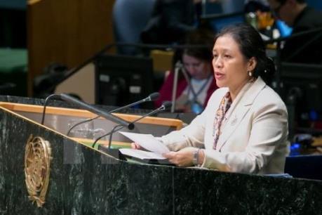 Việt Nam trúng cử vào Hội đồng Kinh tế Xã hội Liên Hợp quốc