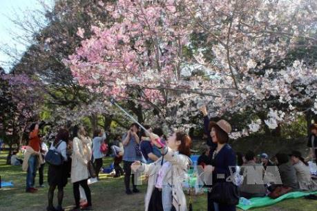 Nhật Bản ngày càng hấp dẫn du khách quốc tế