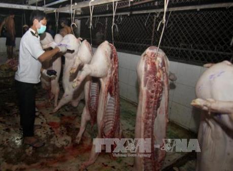 Bắt quả tang cơ sở giết mổ bơm nước và tạp chất vào lợn