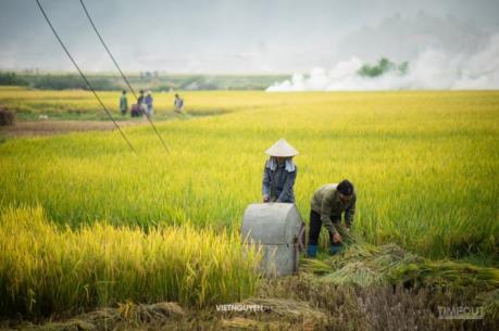 Ukraine sẵn sàng thúc đẩy hợp tác nông nghiệp với Việt Nam