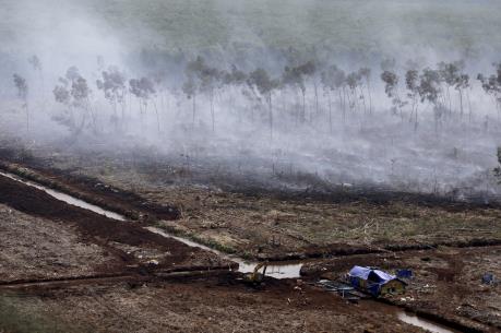 Cháy rừng Indonesia: Singapore kêu gọi ASEAN hợp tác