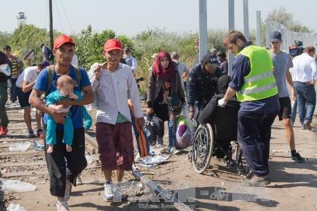 Vấn đề người di cư: Các nước châu Âu tiếp tục nhiều biện pháp ứng phó