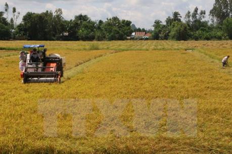 CHDCND Triều Tiên tìm kiếm cơ hội đầu tư tại Hậu Giang