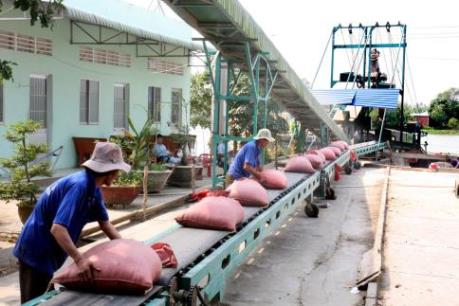 Việt Nam tạm dừng chào bán gạo 25% tấm