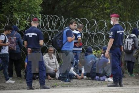 Liên đảng bảo thủ cầm quyền ở Đức đạt thỏa thuận về vấn đề di cư