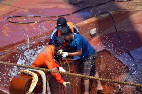 Phát hiện thi thể nghi là thuyền viên tàu Hoàng Phúc 18