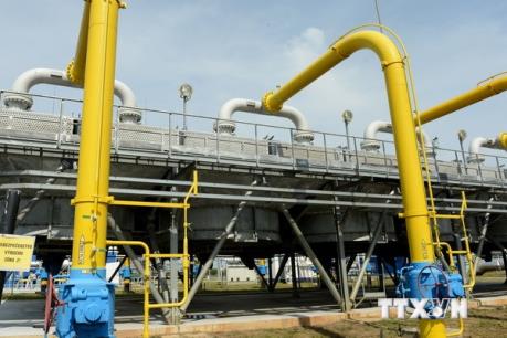 Giá dầu nối dài đà giảm