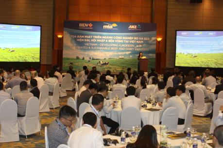 Phát triển theo phong trào sẽ bị cạnh tranh không lành mạnh