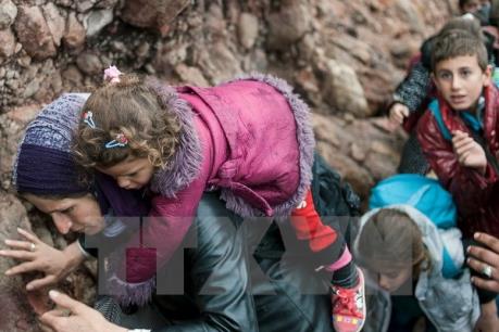 Các nước Bắc Âu tỏ ra “lạnh nhạt” hơn đối với người nhập cư