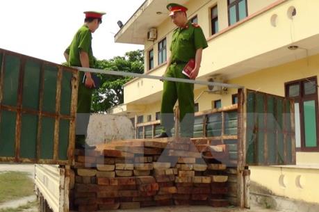 Bắt xe vận chuyển gỗ trái phép trên Quốc lộ 28B