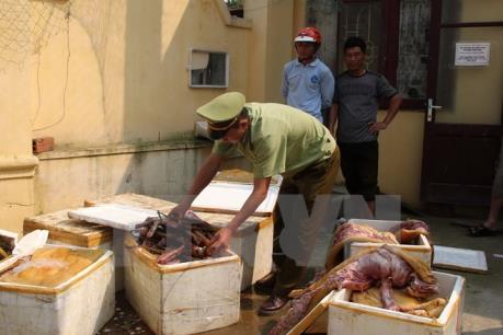 Tạm giữ xe ô tô chở hơn 6 tấn thịt bốc mùi hôi thối