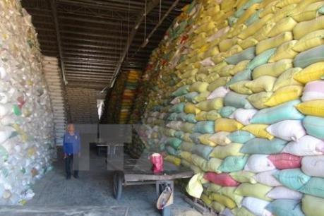 Indonesia phải nhập khẩu gạo vì El Nino