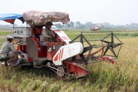 Phú Thọ hỗ trợ doanh nghiệp đầu tư vào nông nghiệp, nông thôn