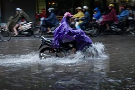 14 tỉnh, thành phố phía Bắc triển khai các biện pháp ứng phó bão số 11