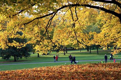 Mùa Thu nước Anh - Quyến rũ đầy mê hoặc