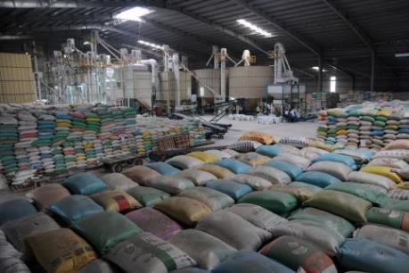 USDA: Dự trữ gạo toàn cầu có thể giảm 5%