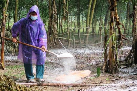 Khống chế không để phát sinh ổ dịch cúm gia cầm mới tại Nam Định