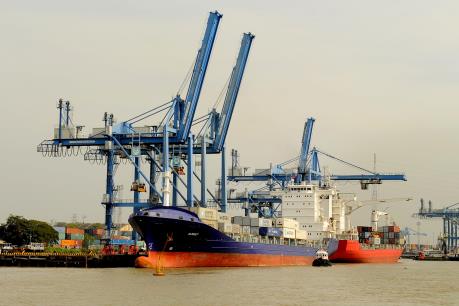 Kinh tế Việt Nam sẽ có những điểm sáng mới