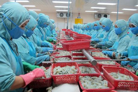 Nhiều cơ hội từ thị trường "khó tính" Hoa Kỳ và Mỹ Latinh