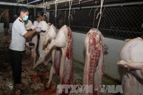 Bắc Giang liên tiếp phát hiện các vụ bơm nước, tạp chất vào lợn