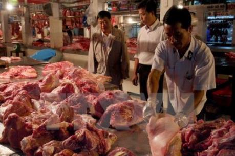 Công bố đường dây nóng tố giác vi phạm an toàn thực phẩm