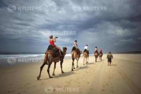 Lượng khách du lịch quốc tế đến Australia tăng đột biến