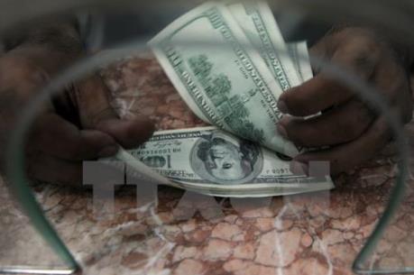 USD đứng vững nhờ kỳ vọng Fed nâng lãi suất