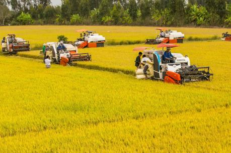 Đồng bằng sông Cửu Long kêu gọi 74 dự án đầu tư