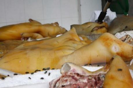 Bình Phước phát hiện tiêu hủy nhiều tạ thịt lợn bẩn