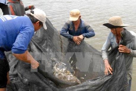 Nỗi lo mùa lũ "đến hẹn không về"
