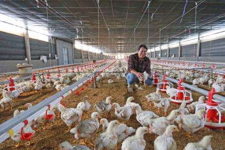 Lâm Đồng đảm bảo vệ sinh an toàn cho sản phẩm nông nghiệp