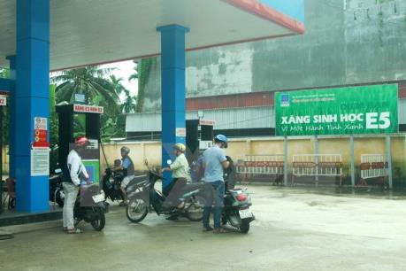Tp. Hồ Chí Minh khó hoàn thành kế hoạch đưa xăng sinh học E5 ra thị trường