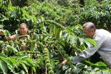 Giảm rủi ro nông nghiệp thông qua liên kết công-tư