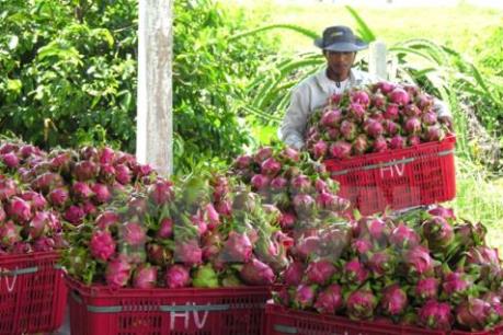 Mục tiêu xuất khẩu 30 tỷ USD nông lâm sản hoàn toàn khả thi