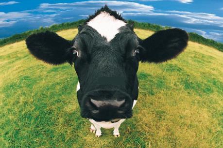 SCIC bất ngờ đăng ký mua vào 300.000 cổ phiếu VNM