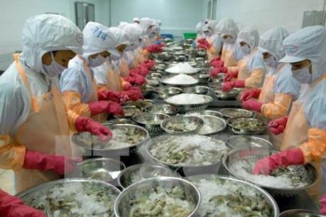 Tôm sú đông lạnh của Việt Nam chiếm ưu thế trên thị trường Mỹ
