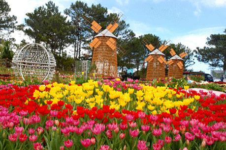 Festival hoa Đà Lạt 2015 sẽ mở rộng tới cả các khu dân cư