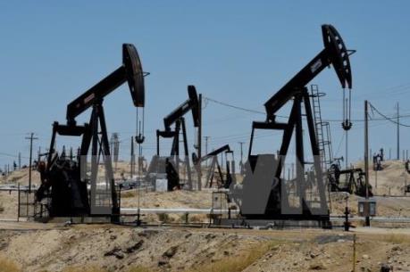 Giá dầu thế giới dao động trong biên độ hẹp