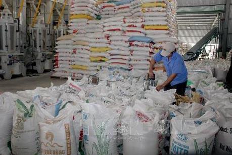 Thị trường ngách: Điểm đến của hạt gạo Việt Nam